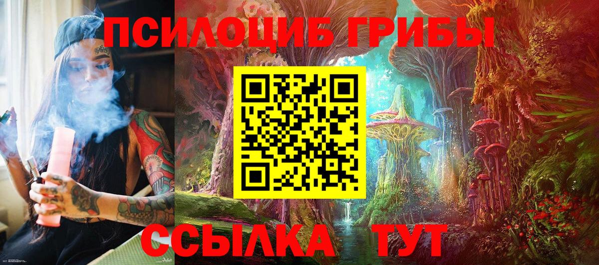 Псилоцибиновые грибы Psilocybine cubensis Рузаевка