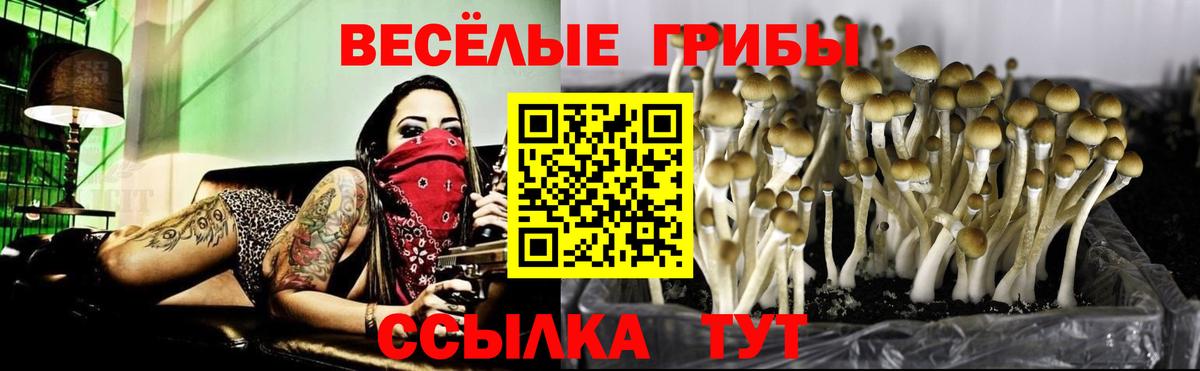 Рузаевка  Псилоцибиновые грибы MAGIC MUSHROOMS  Вход с VPN 